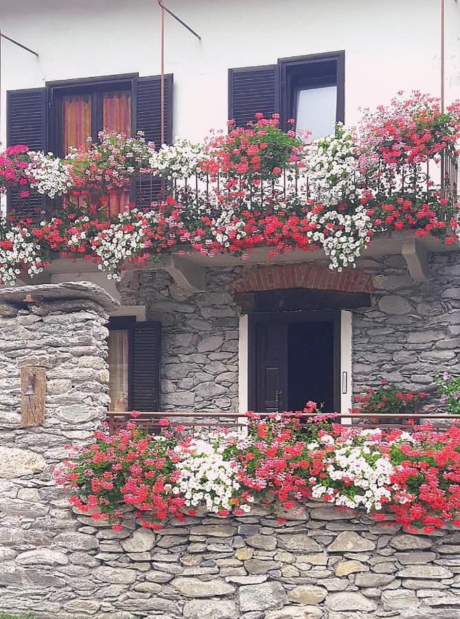 B&B Terra Di Confine Venalzio Buitenkant foto